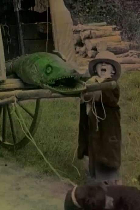 Bout-de-Zan and the Crocodile